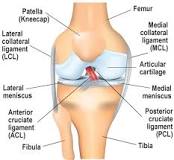 acl replacement surgery