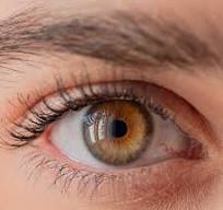 eye